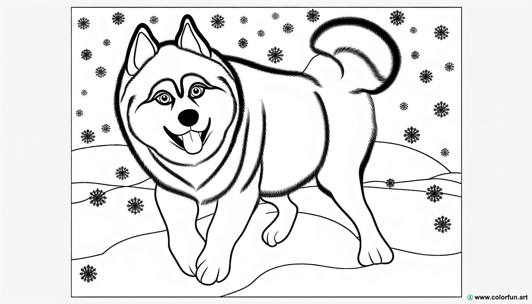 planșă de colorat husky realist.