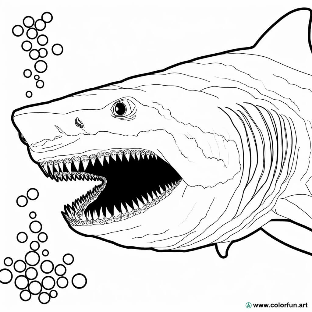 planșă de colorat rechin megalodon realist.